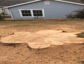 Photos by Don Cele Landscaping #1
