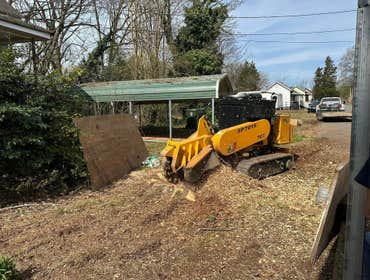 Photos by Stump Pros Forestry and Land #1