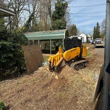 Photos by Stump Pros Forestry and Land #1