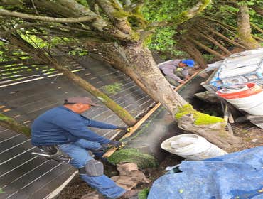 Photos by Brightday Landscaping LLC #1