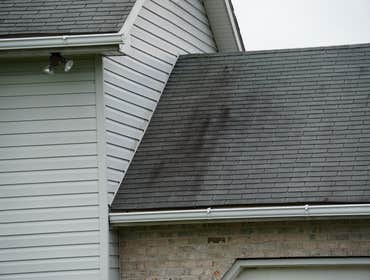 Dahl Welborn New Roof Certainteed Integrity Roof System installed on Mr. Dahl & Terri Welborn's home @ 58 Piccadilly Ct. Colora, Maryland. If your in t