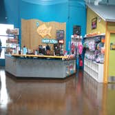 Water base stain color