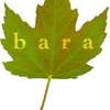 The Bara Process, PA logo