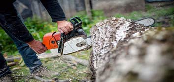 Buckley's Best Tree Care