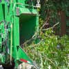 Druid City Tree Service logo