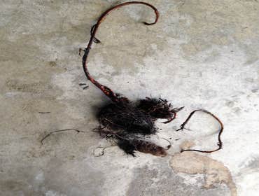 Photos from Gl plumbing & heating