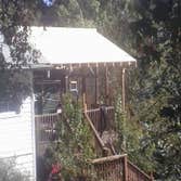 Roofing and Framing