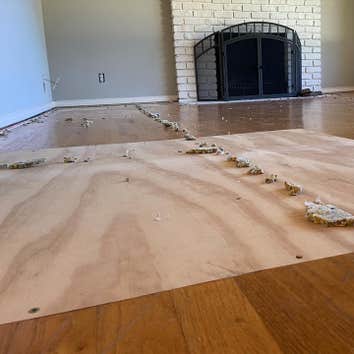 Photos by Envirendly Floors, LLC #1