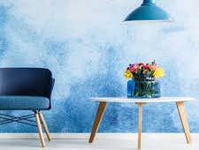 Photos by Washington Quality Painting LLC #1