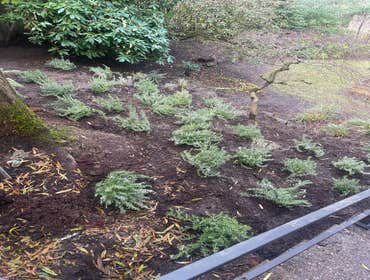 Photos by Leon's Landscaping Maintenance #6