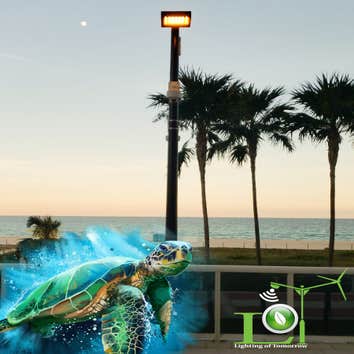 Lighting of Tomorrow