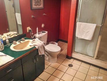 Before Bathroom