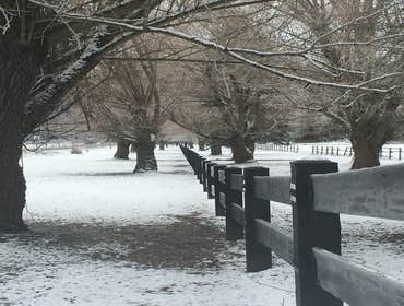 Fences