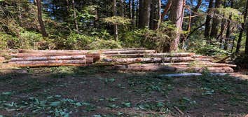 Clearing/Logging