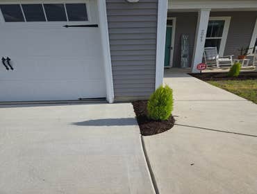 Mulching Services