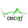 Cricket Pavers of Palmetto Bay logo