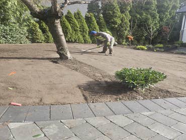 Photos by Brightday Landscaping LLC #1