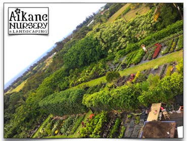 Aikane Landscaping & More
