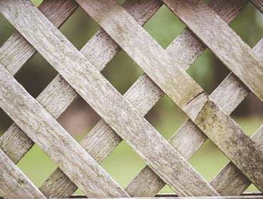 Photos by L and N Fencing LLC #1