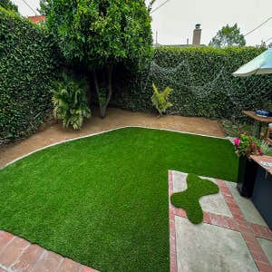 Photos by Halo turf #2