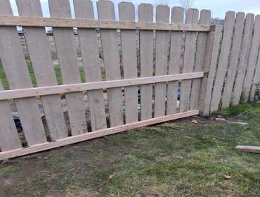 Photos by Carrillo Landscaping Services LLC #1