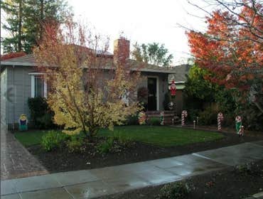 Photos from Ben Ruiz Tree And Landscaping Contractor