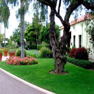 Photos from Golden Landscape Construction and Management