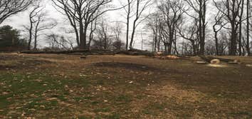 Photos from Kingkiner Tree Service LLC
