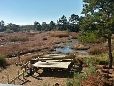 Projects and Plants This gallery shows a combination of projects and beautiful Native Plants. Projects that meet the requirements of a National Wildli