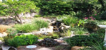 Custom Design and Build water feature specialist. Pond~ology is a full service water feature design and build firm located in North county San Diego. 