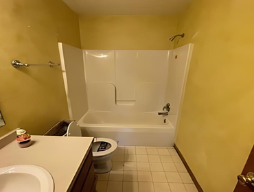 Bathroom Before
