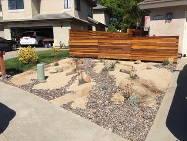 Drought tolerant landscape