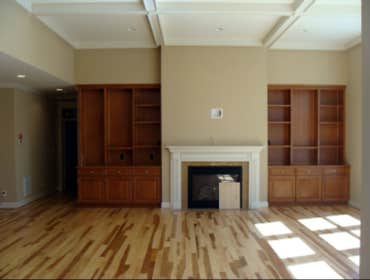 Fireplace with Built-ins