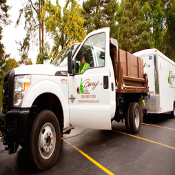 Beary Landscaping