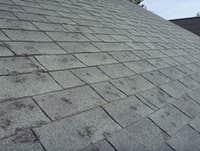 Photos by Lyon Home Enterprises LLC #1