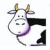 Lost Cow Enterprises Llc logo