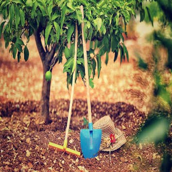 Highland Grove Landscaping & Farm