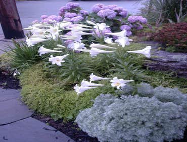 Photo(s) from Landscape Architectural Services Inc