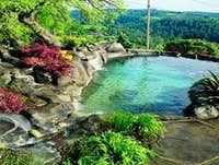 Photos from Natural Design