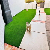 Photos by Deer Valley Turf and Landscape #1