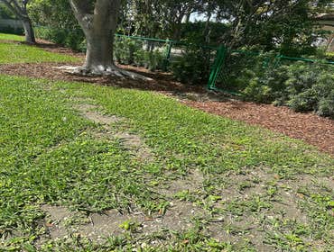 The Grace Landscaping LLC