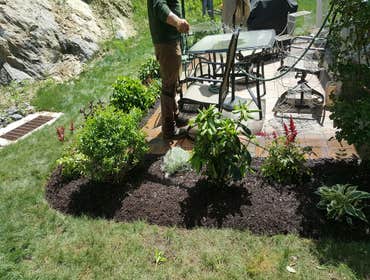 Planting