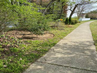 Photos by Sg Gonzalez Landscaping & Maintenance LLC #1