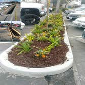 International Dateline Concrete