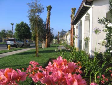 Landscape & Grounds Maintenance An architect whose principal contracting business is in connection with fixed works requiring specialized engineering k