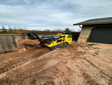 Photos by Professional Tree Service Usa #2