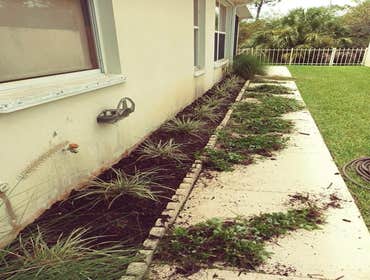Photos by Velasquez Landscaping & Tree Service LLC #3