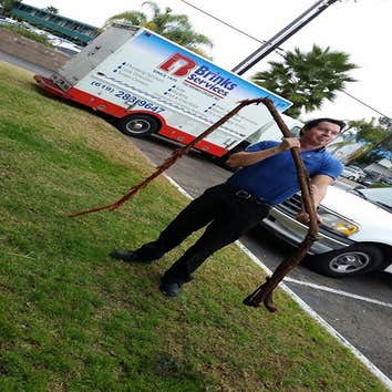 Brinks Services