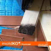 Mold Ko of Montclair