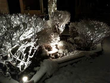 landscape lighting